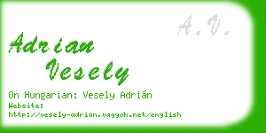 adrian vesely business card